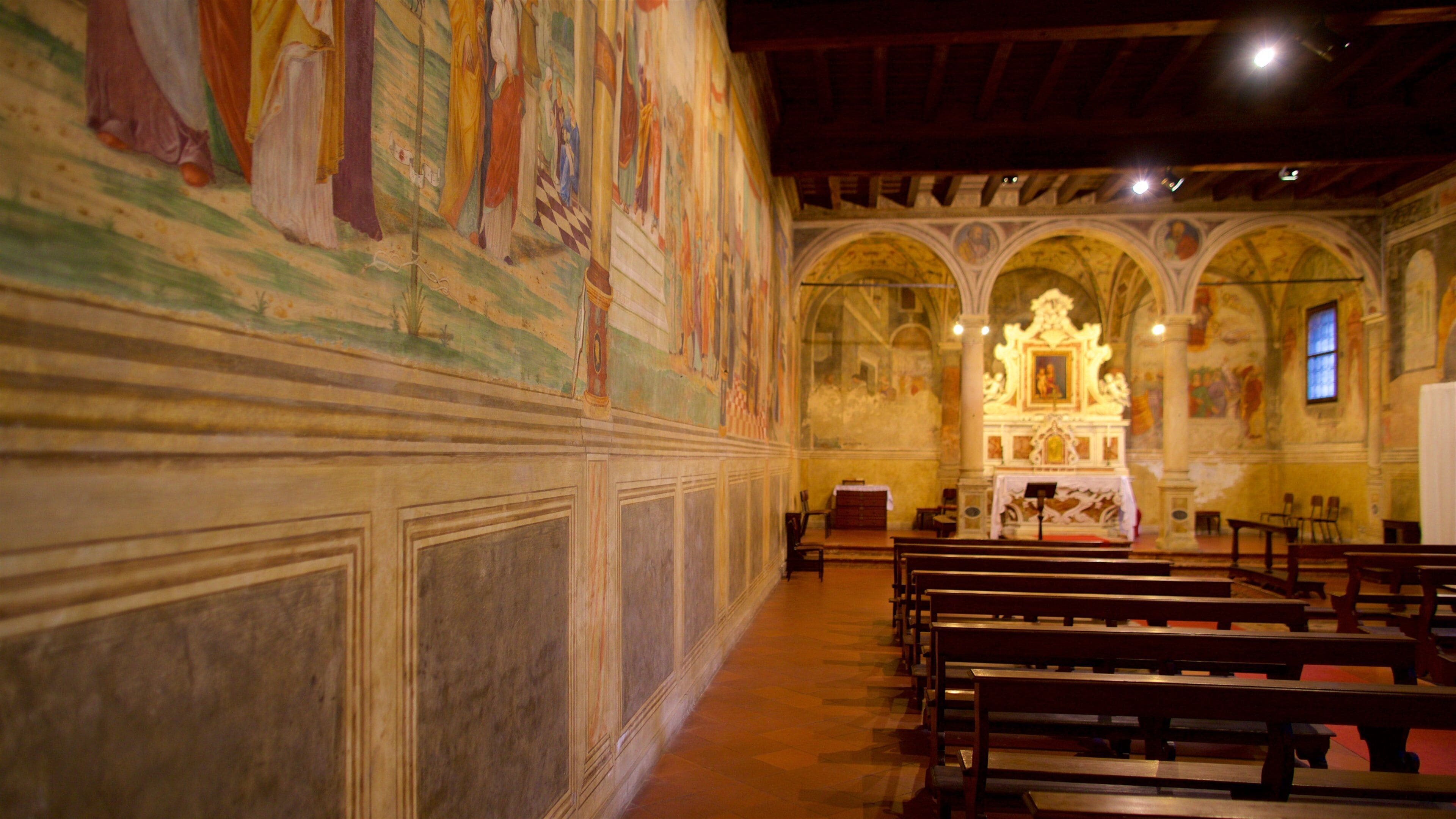 Padua que incluye una iglesia o catedral, vistas interiores y aspectos religiosos