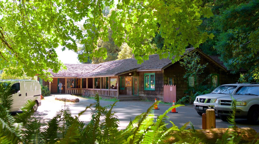 Prairie Creek Visitor Center showing a small town or village