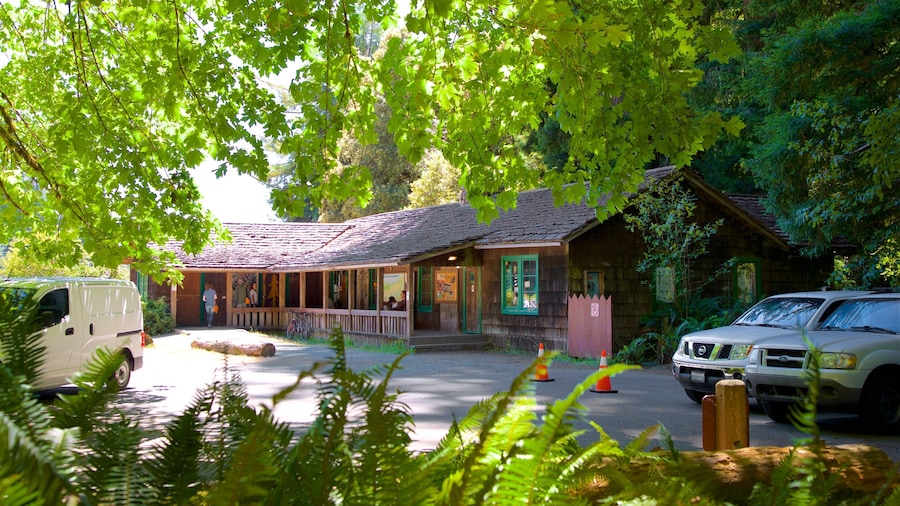 Prairie Creek Visitor Center showing a small town or village