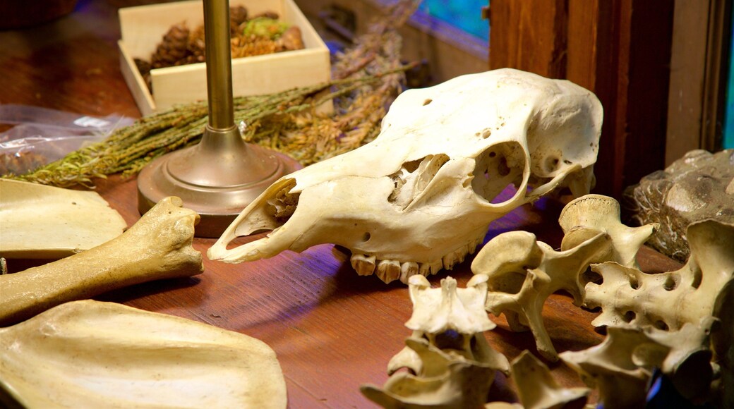 紅木國家公園暨州立公園