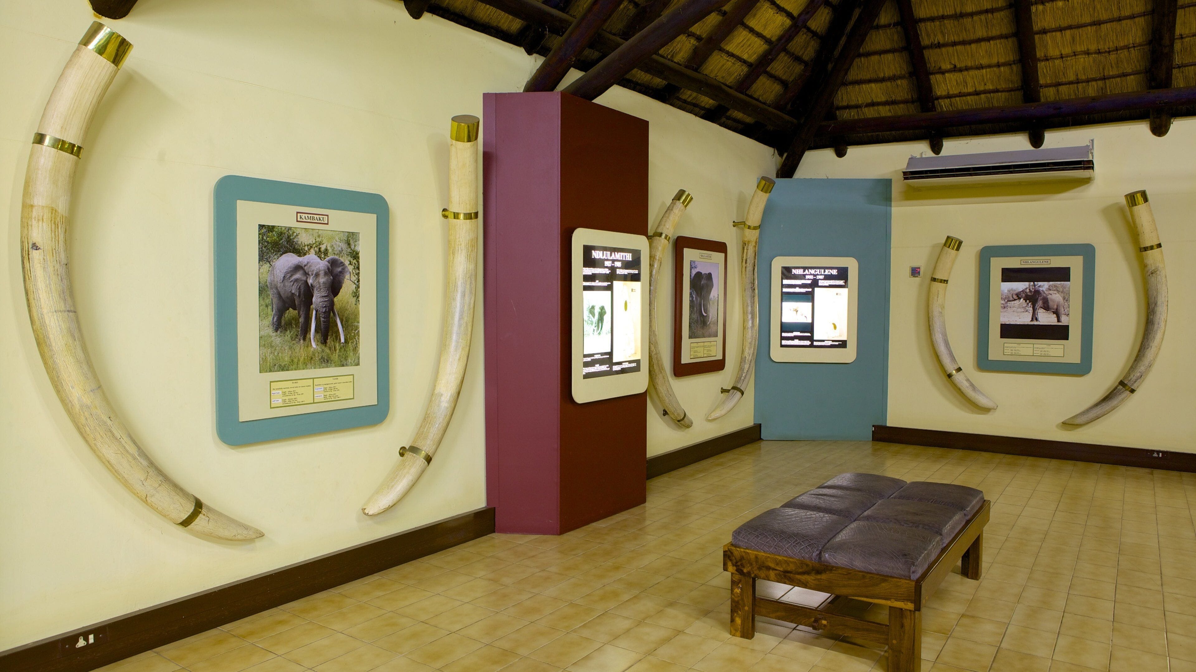 Mpumalanga - Limpopo welches beinhaltet Innenansichten