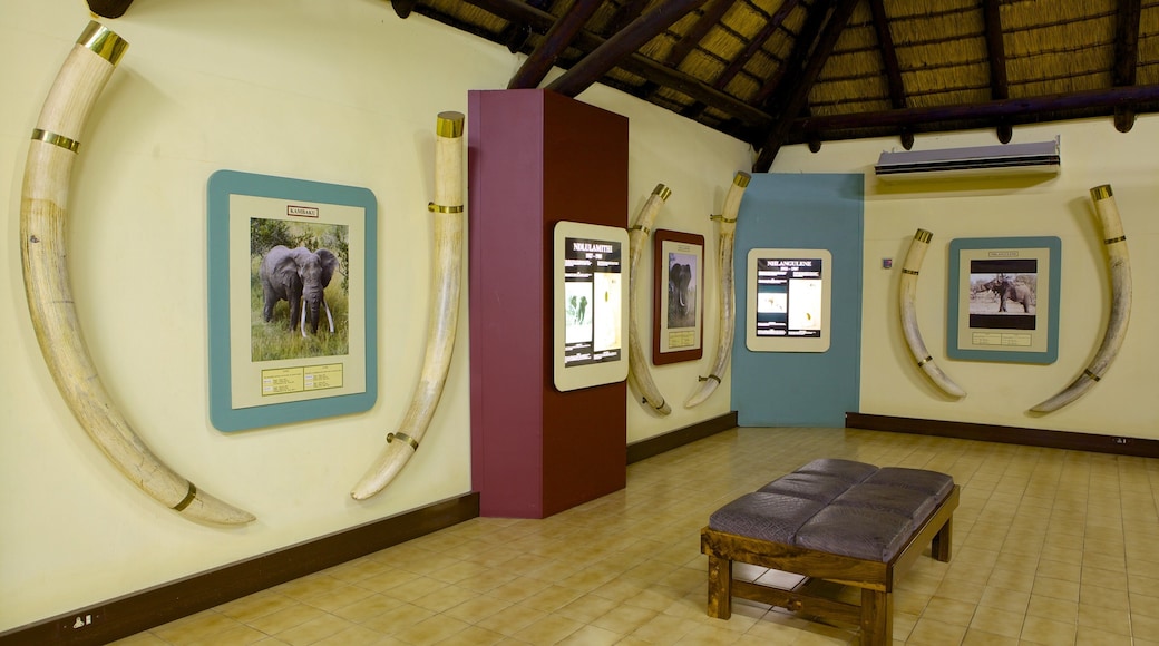 Mpumalanga - Limpopo welches beinhaltet Innenansichten