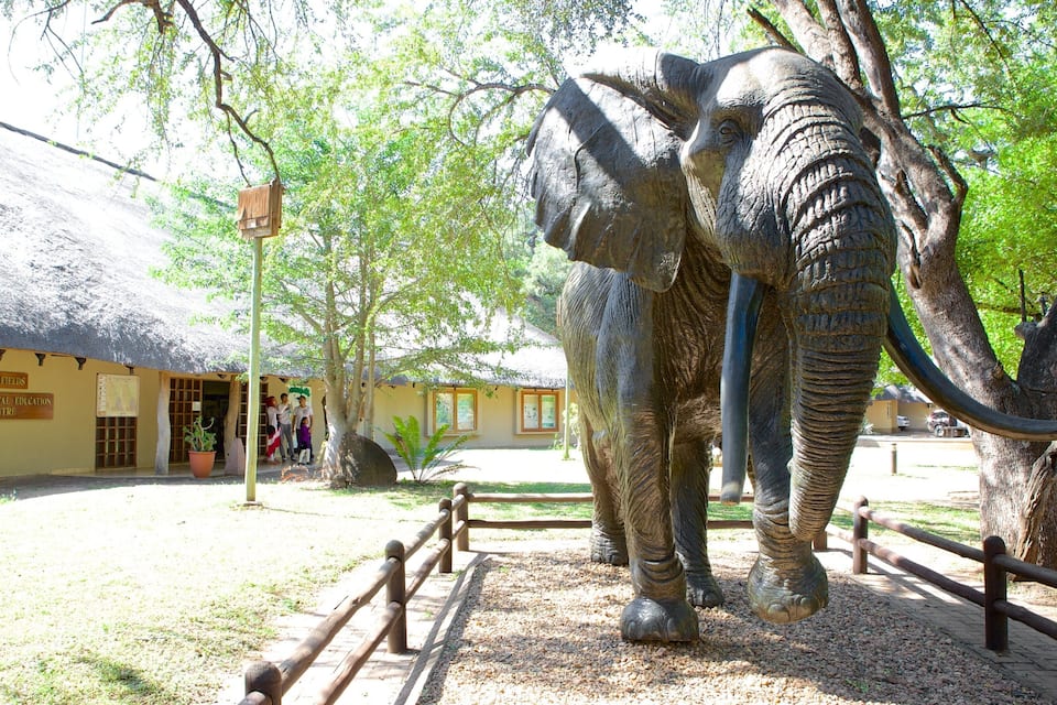 A large elephant statue in a park with a thatched-roof building labeled 'Gold Fields Environmental Education Centre' in the background.