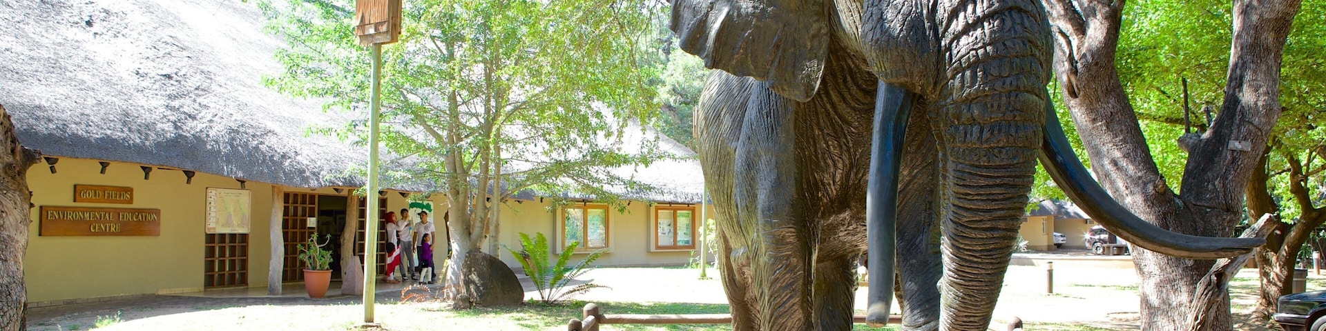 Mpumalanga - Limpopo que inclui animais terrestres, animais de zoológico e uma estátua ou escultura