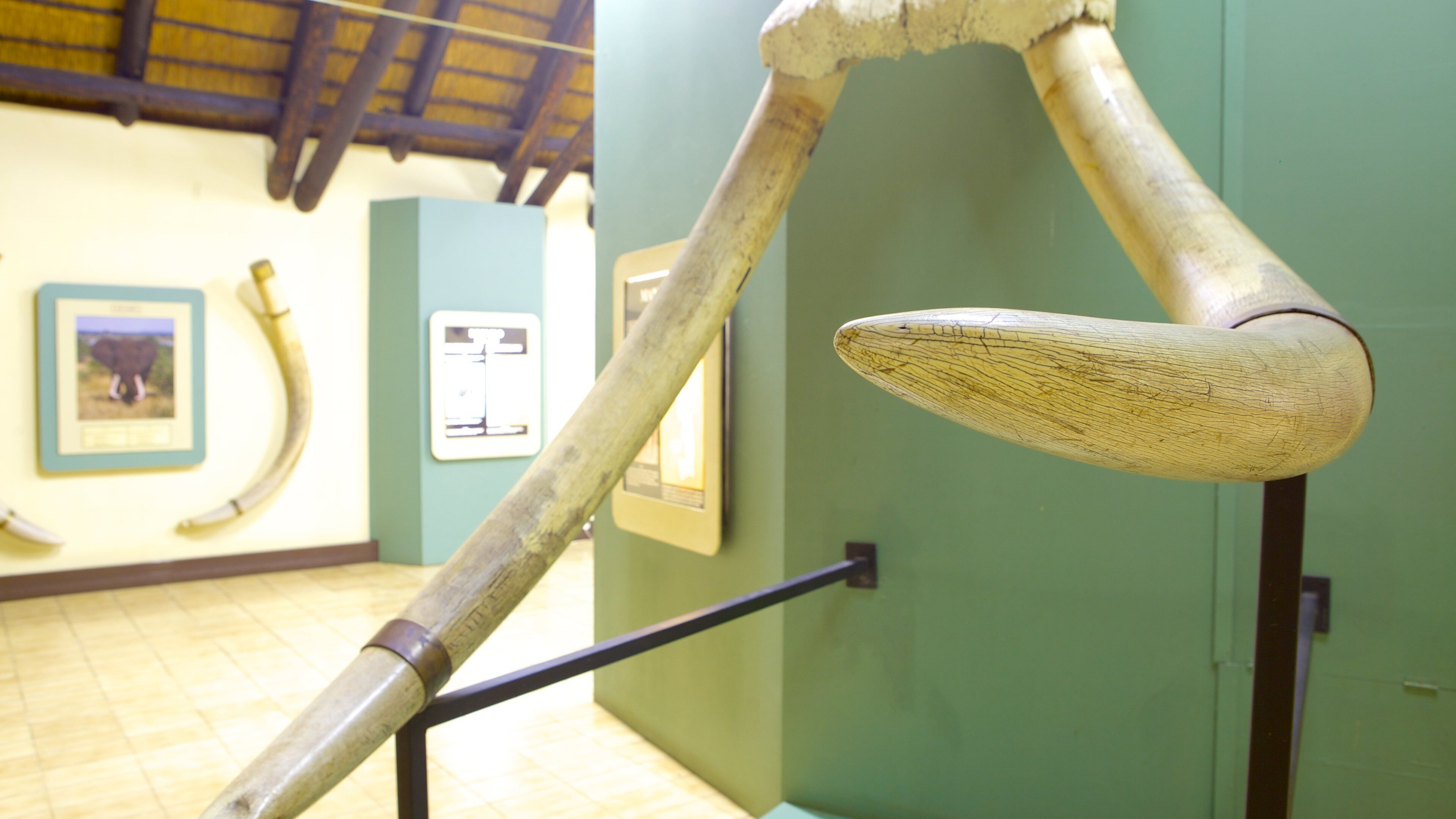 Mpumalanga - Limpopo which includes interior views