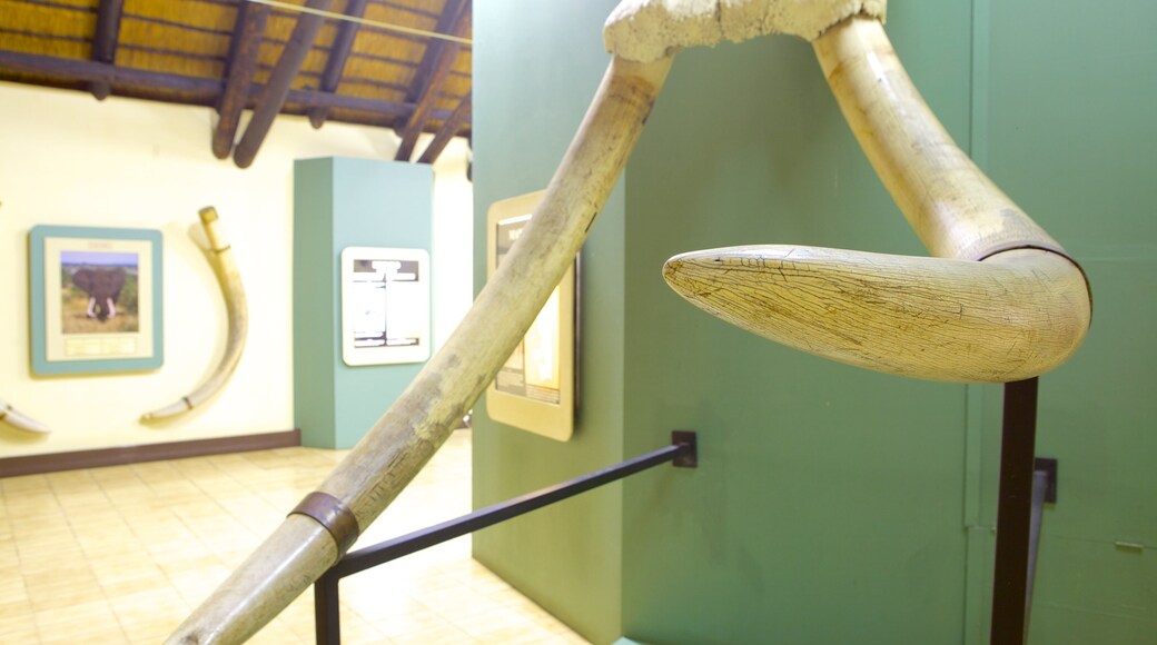 Mpumalanga - Limpopo which includes interior views