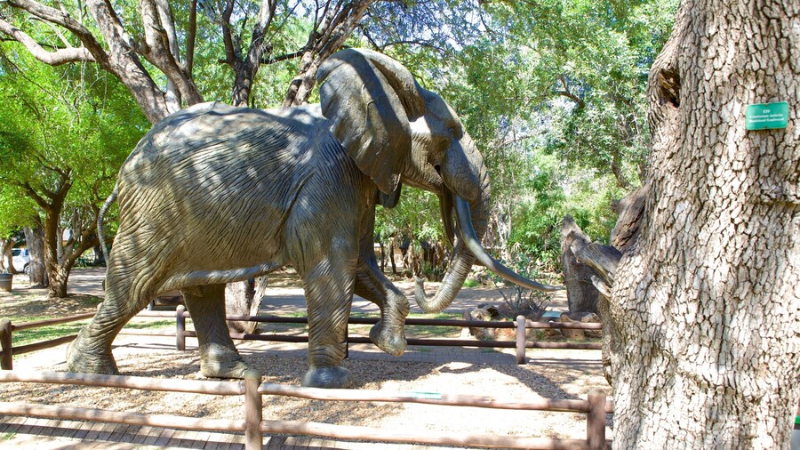 Mpumalanga - Limpopo que incluye una estatua o escultura