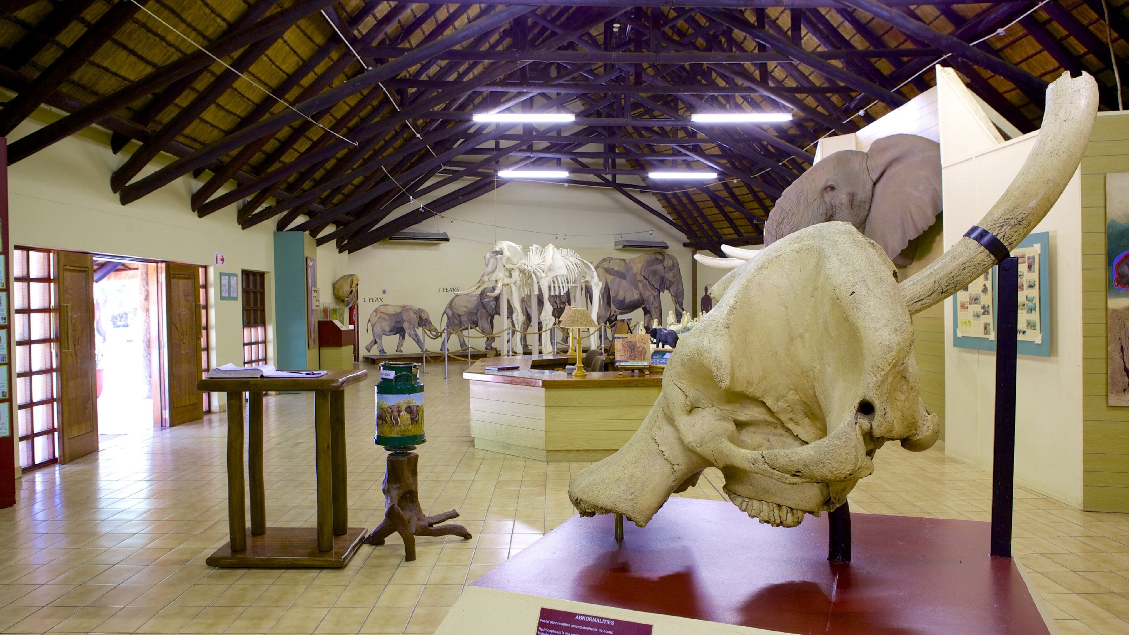 Mpumalanga - Limpopo que incluye vistas interiores