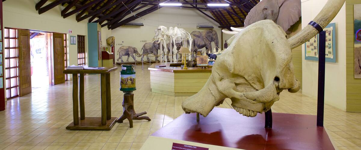 Mpumalanga - Limpopo featuring interior views