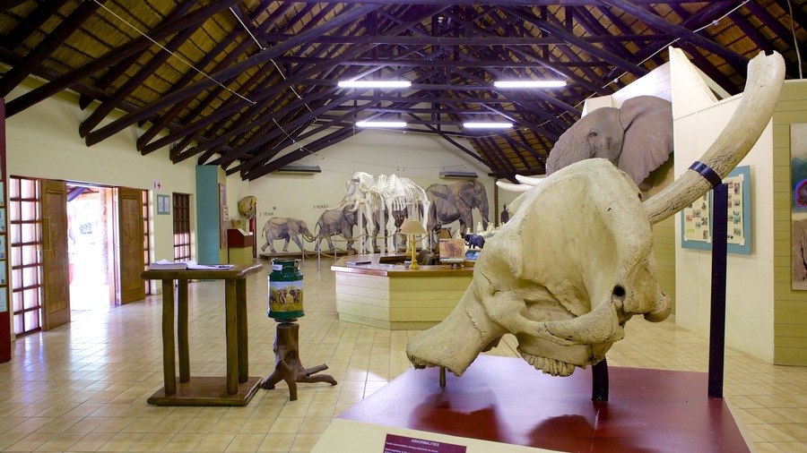 Mpumalanga - Limpopo featuring interior views