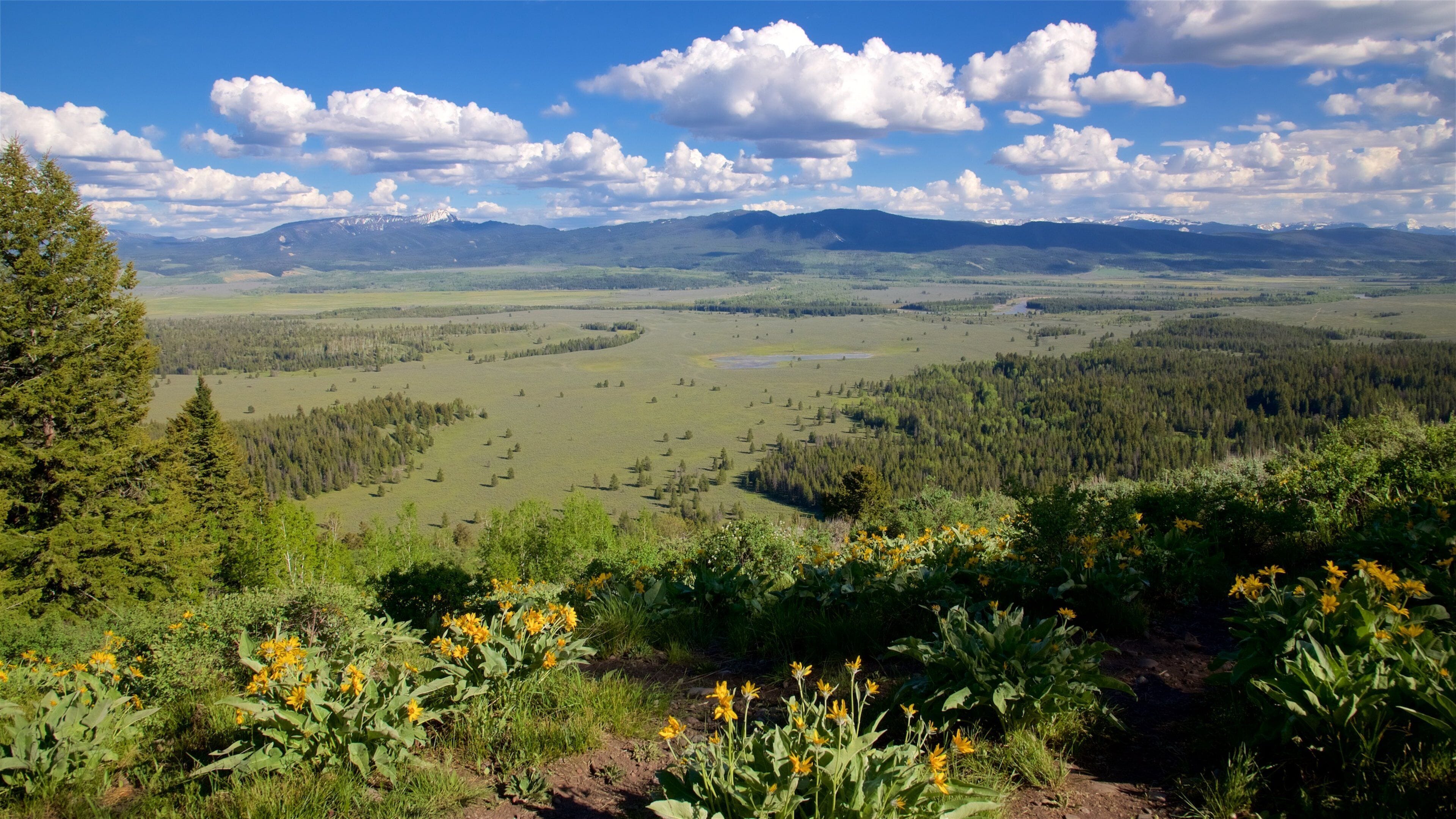 大提頓國家公園 呈现出 野花, 寧靜的景觀 和 風景圖