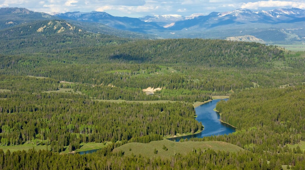 Grand Teton nasjonalpark fasiliteter samt skog, landskap og elv eller bekk