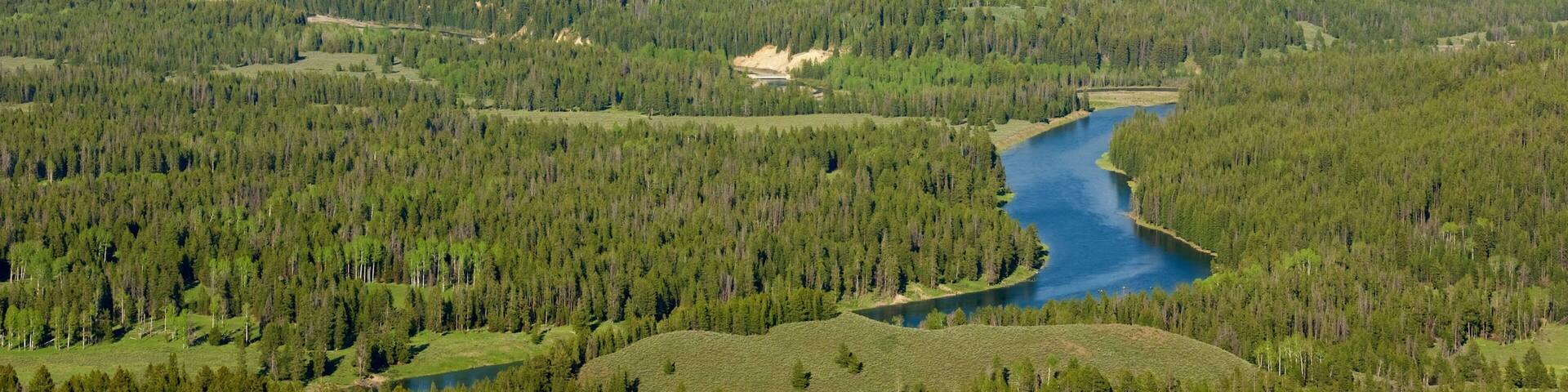 Grand Teton National Park showing a river or creek, landscape views and forests