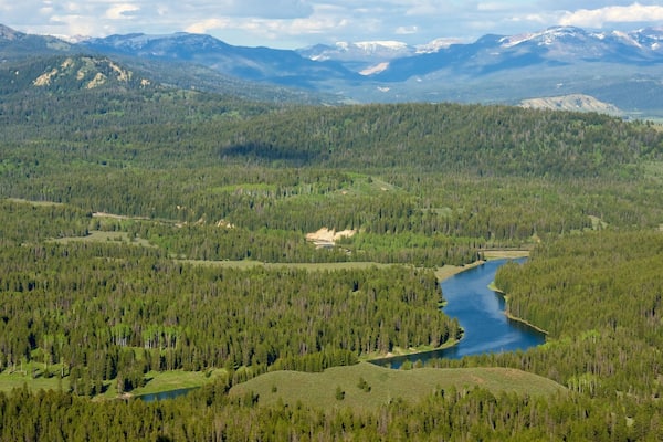 Grand-Teton-Nationalpark welches beinhaltet Waldmotive, ruhige Szenerie und Landschaften