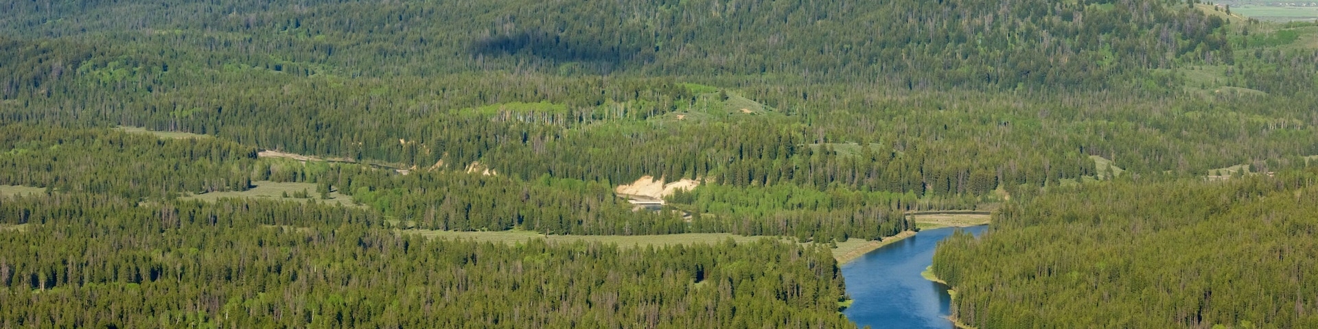 Grand Teton National Park showing a river or creek, landscape views and forests