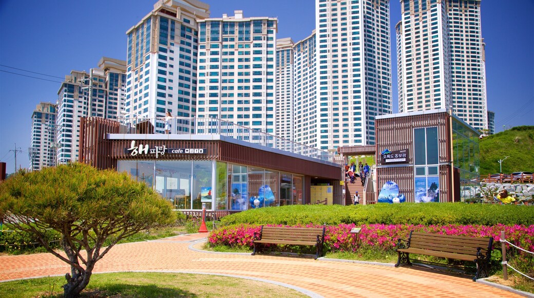 Busan featuring a city, a garden and wild flowers