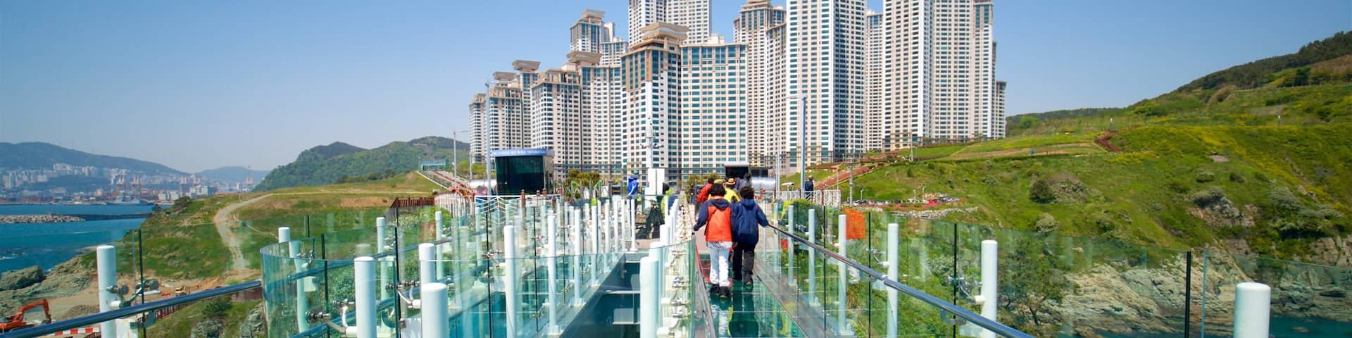 Busan which includes a city, a high-rise building and a bridge