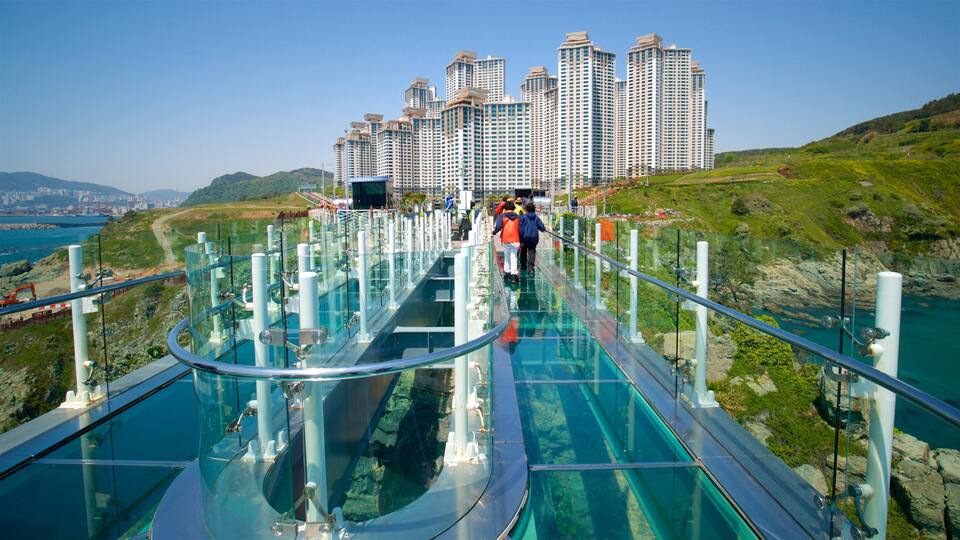 A glass bridge with a glass floor, overlooking a coastal area with high-rise buildings in the background.