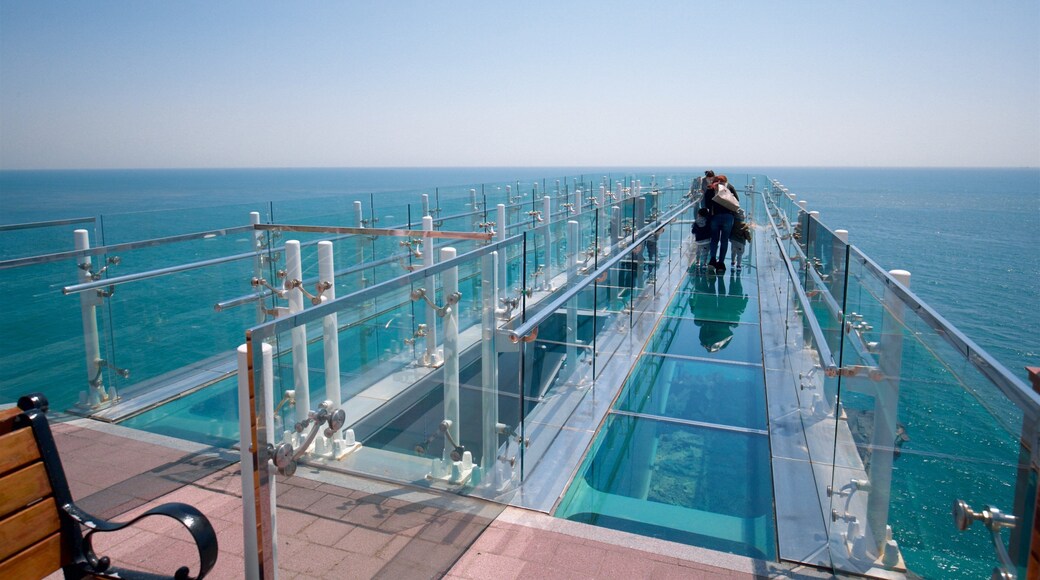 Busan featuring general coastal views, a bridge and views