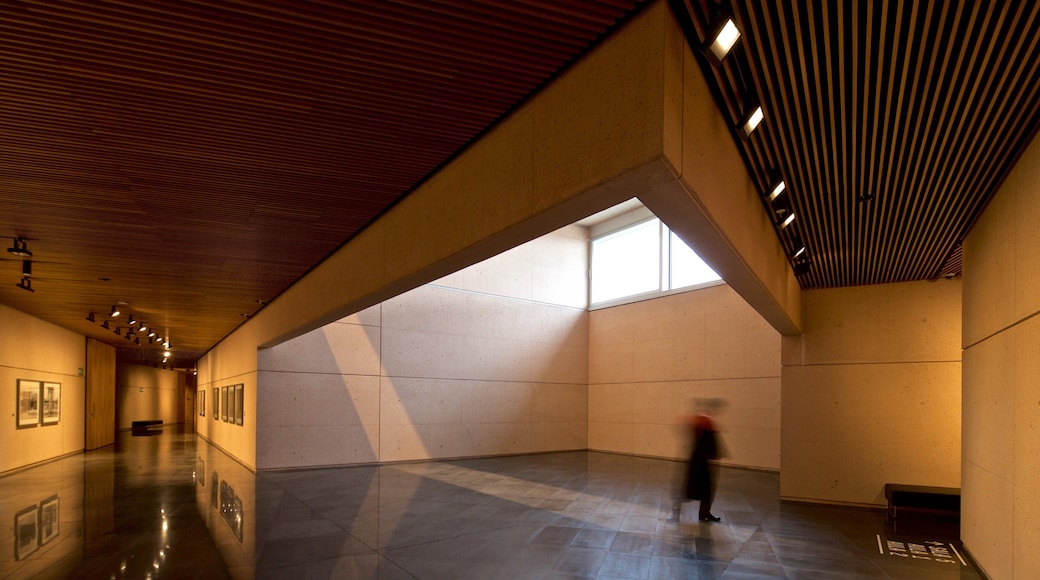 Pamplona mostrando vistas interiores y arte