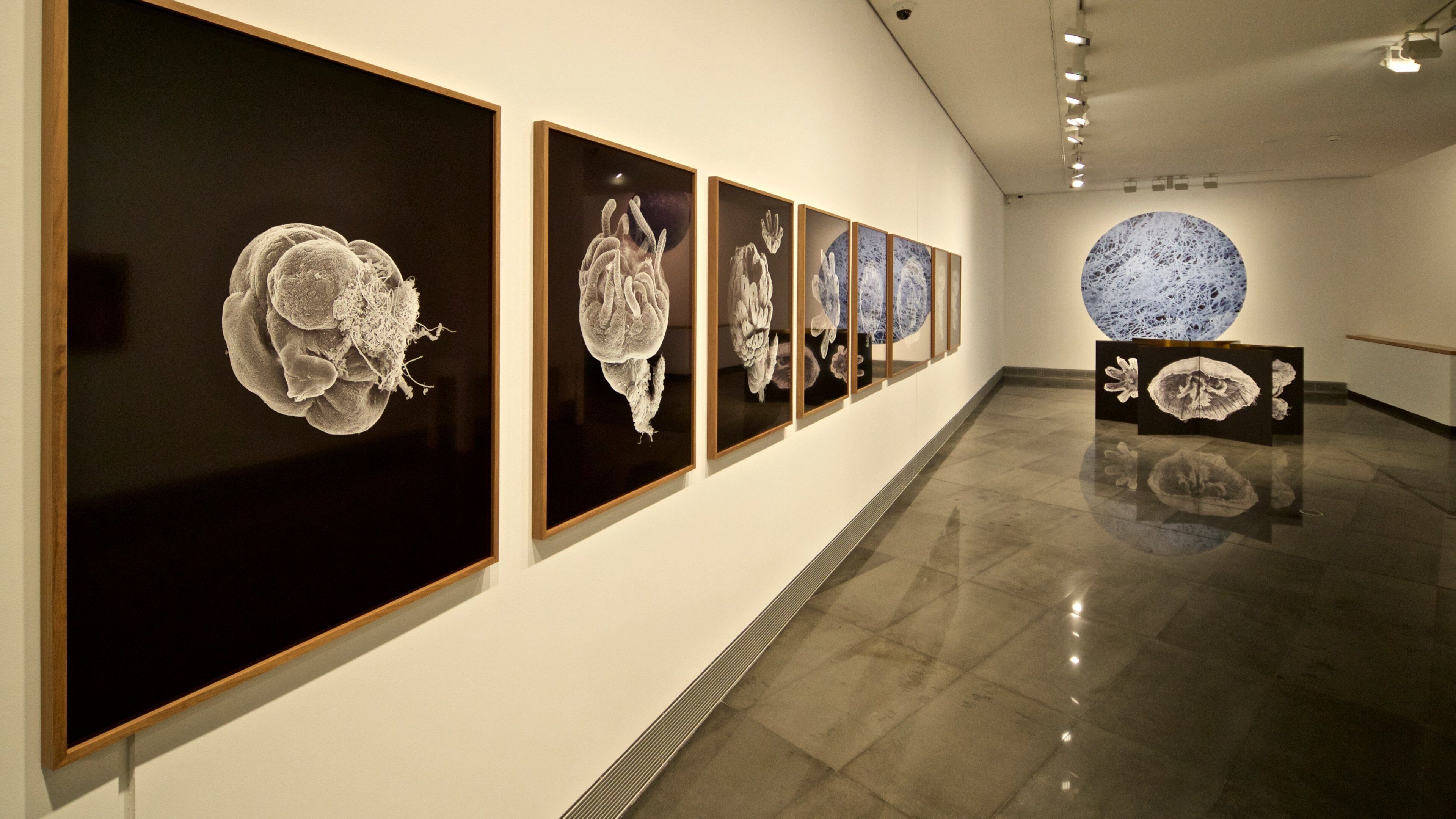 Pamplona showing art and interior views