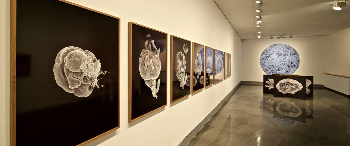 Pamplona which includes art and interior views