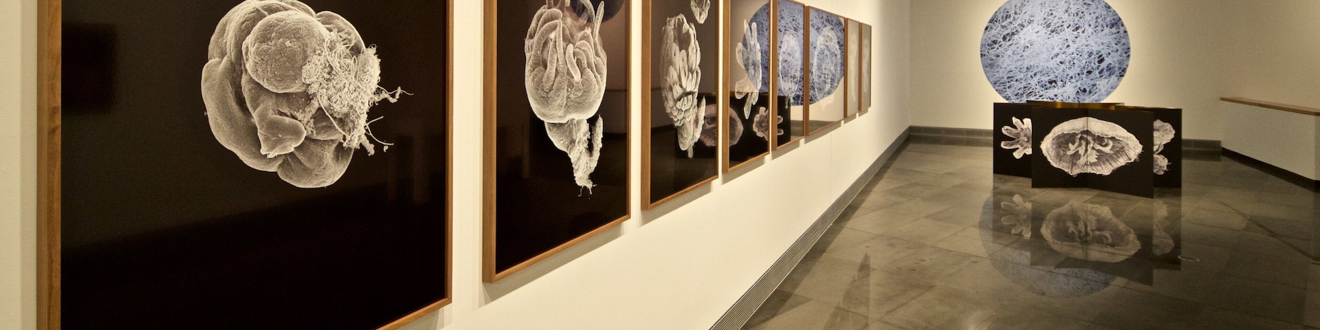 Pamplona showing art and interior views