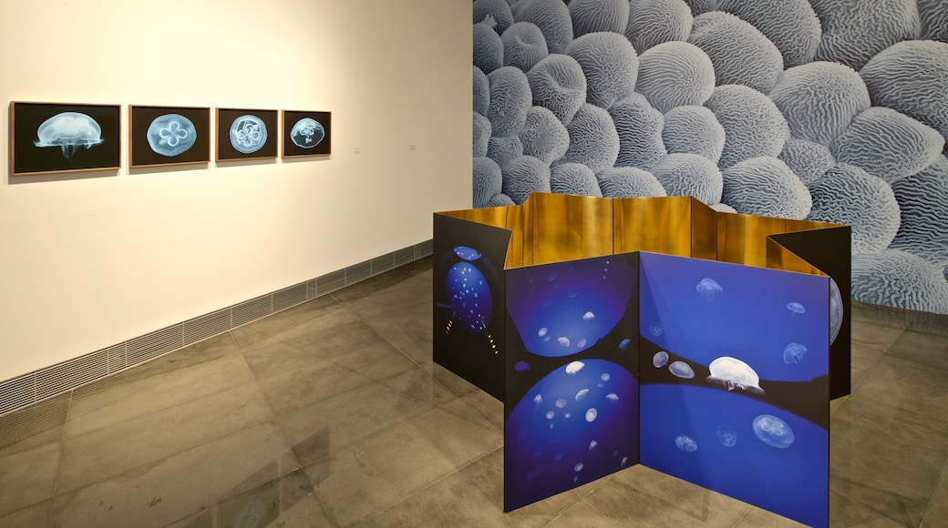 Pamplona ofreciendo arte y vistas interiores