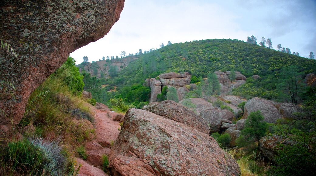 Pinnacles National Park 을 특징 계곡 또는 협곡 과 한적한 풍경