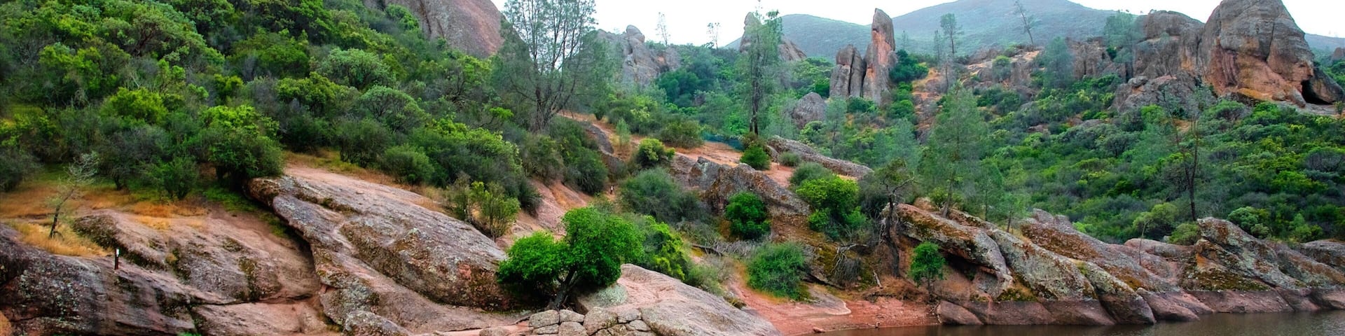 Pinnacles National Park mostrando selva y un lago o abrevadero