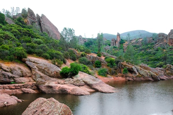 Pinnacles National Park montrant lac ou Ă©tang et forĂȘt vierge