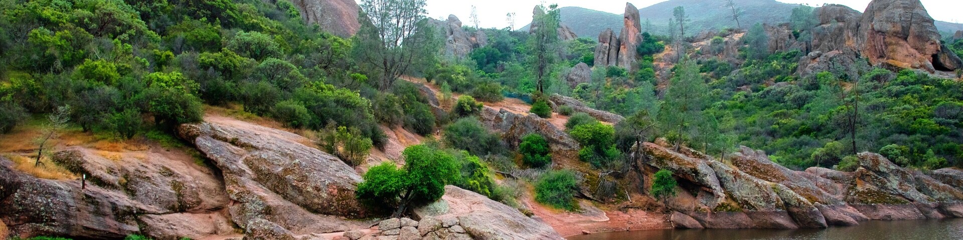 Pinnacles National Park which includes rainforest and a lake or waterhole