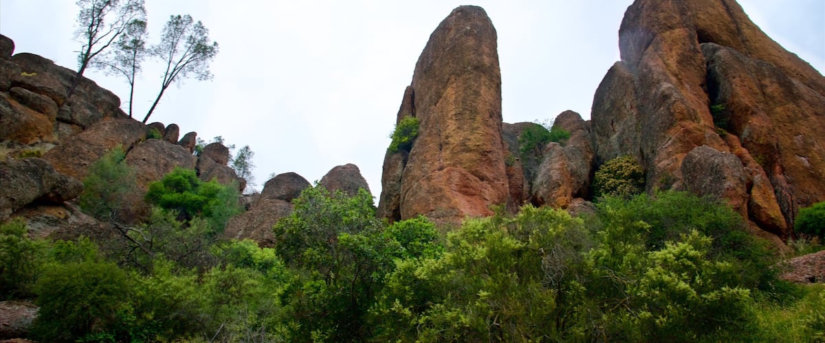 Bear Gulch Reservoir featuring tranquil scenes