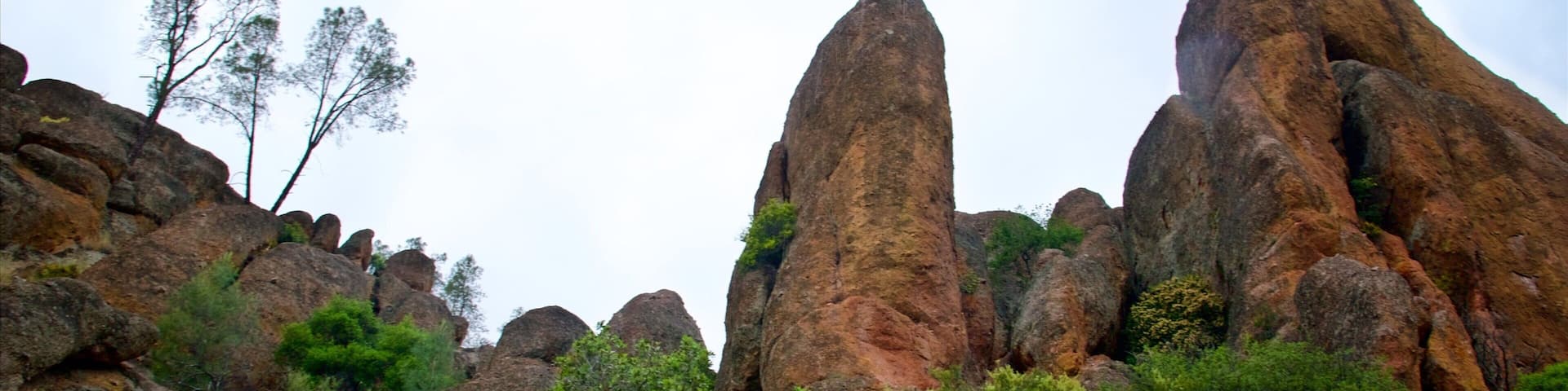 Un paisaje rocoso con destacadas formaciones de arenisca y densa vegetación verde.