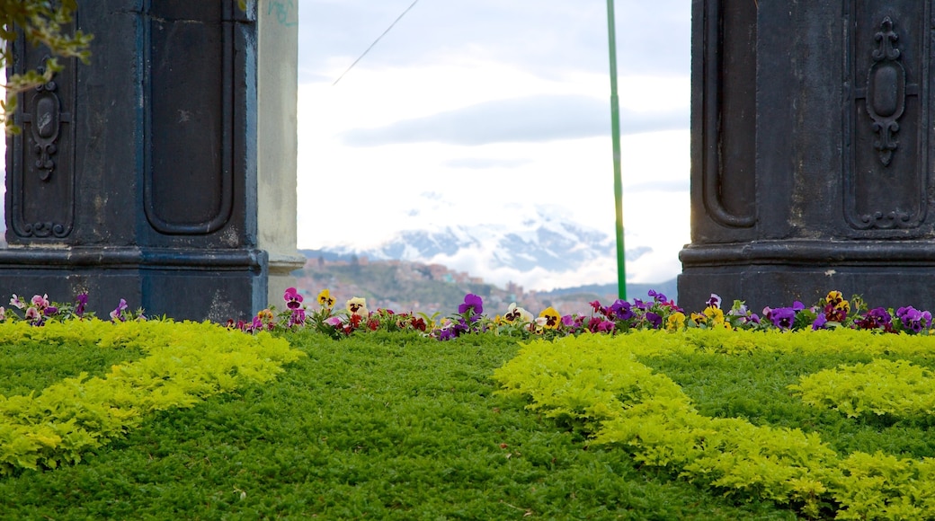 La Paz som inkluderar en park