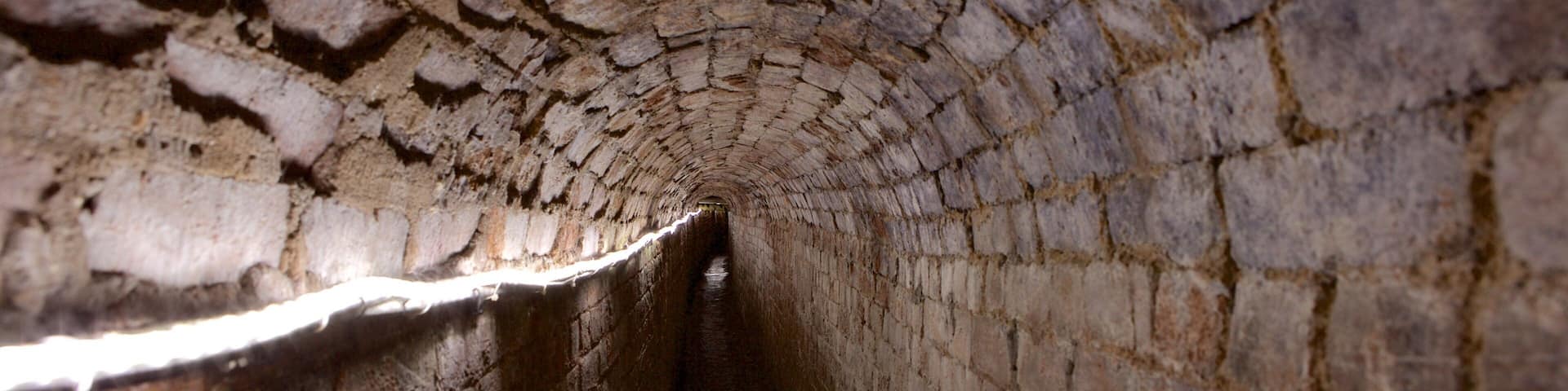 Exeter showing heritage elements