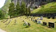 Alesund - More og Romsdal showing a cemetery