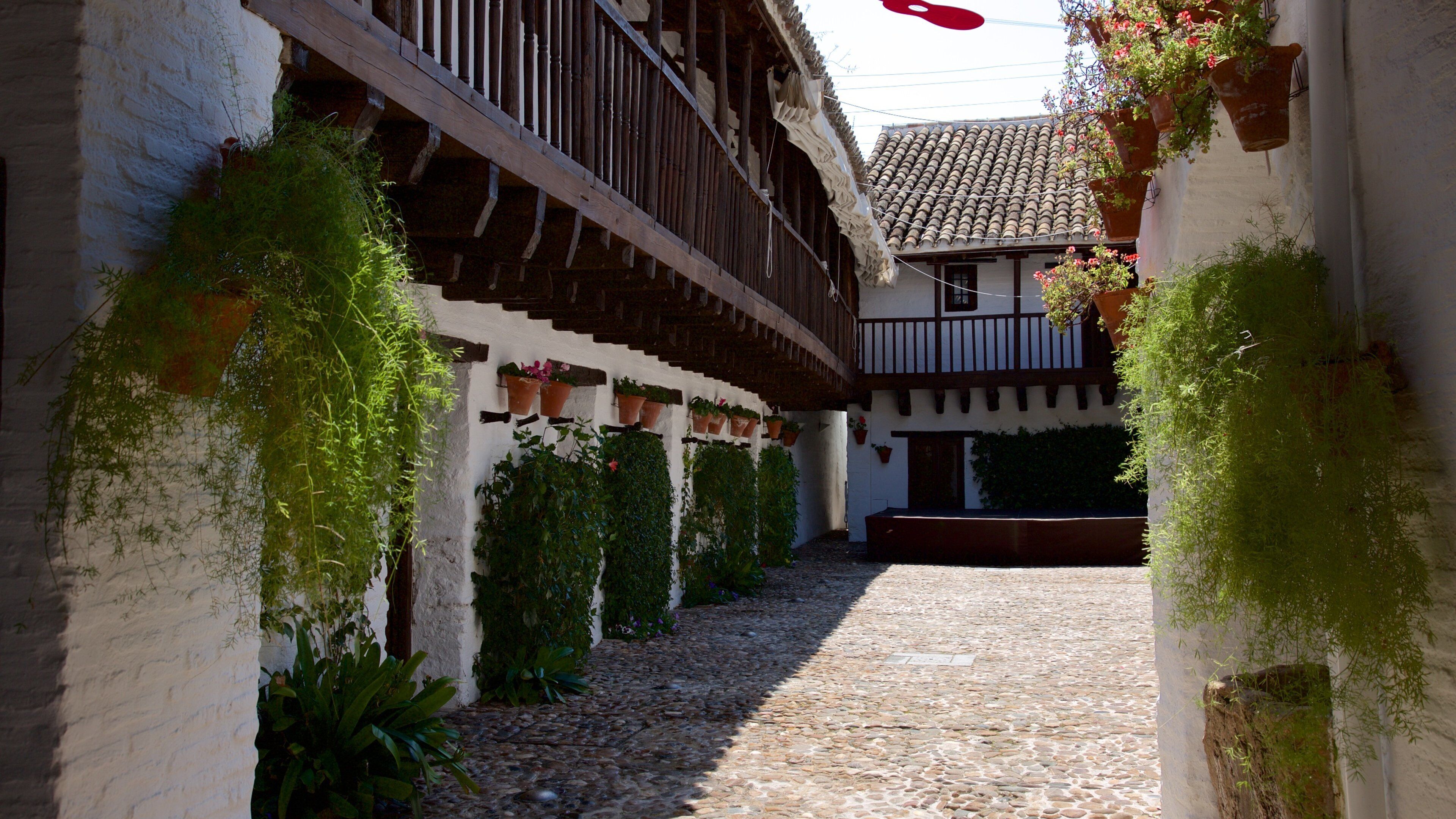 กอร์โดบา เนื้อเรื่องที่ ภาพท้องถนน