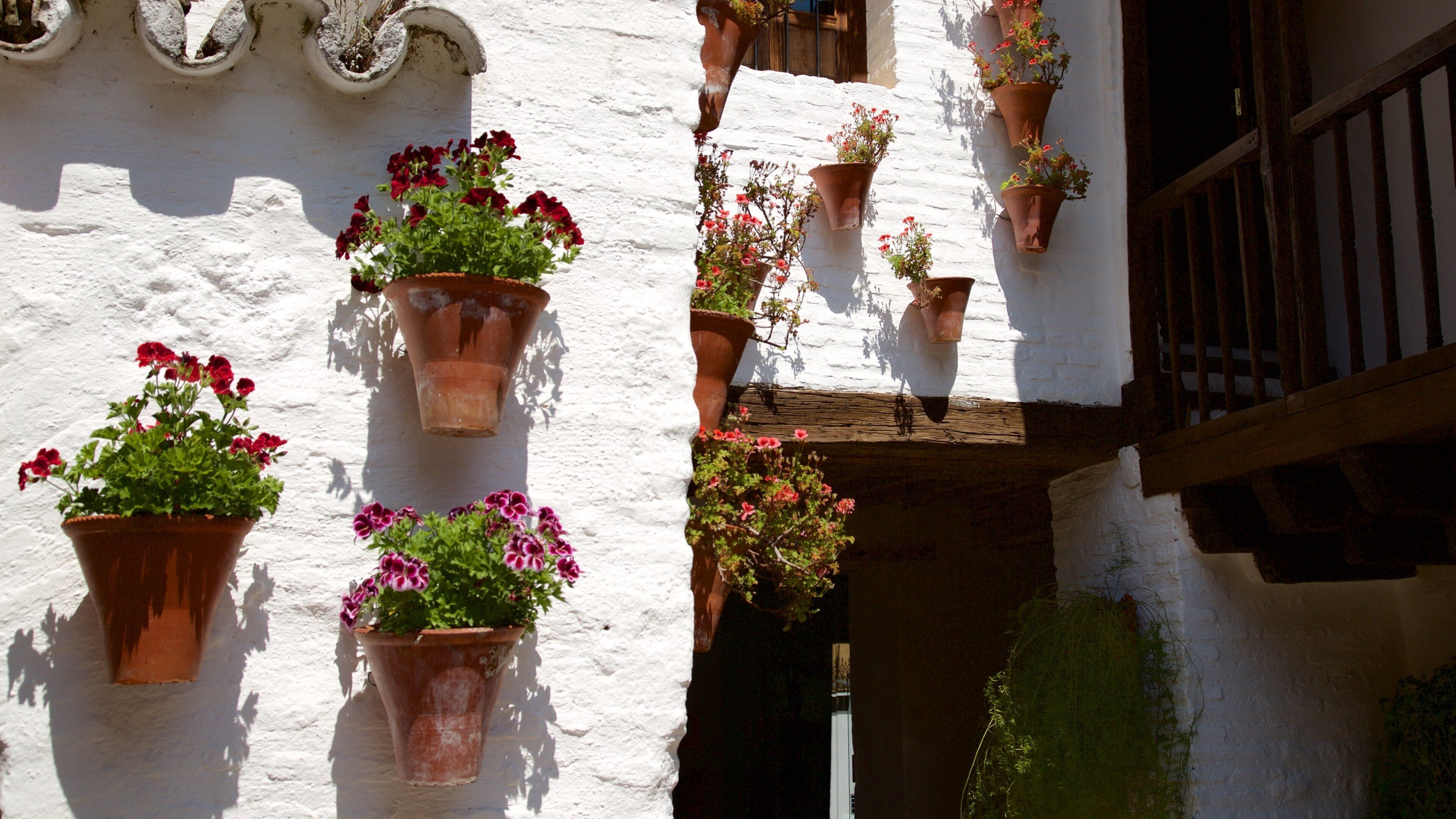 กอร์โดบา เนื้อเรื่องที่ ดอกไม้