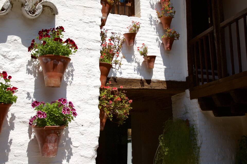 Edifici blanc amb testos de terracota penjades a les parets, plenes de flors vermelles i roses.