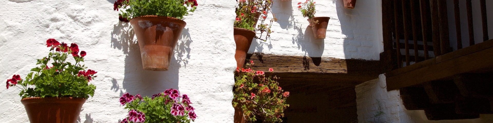 Córdoba mostrando flores