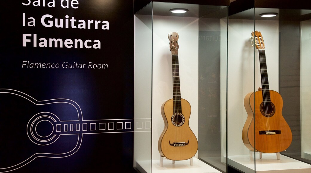 Córdoba ofreciendo música y vistas de interior