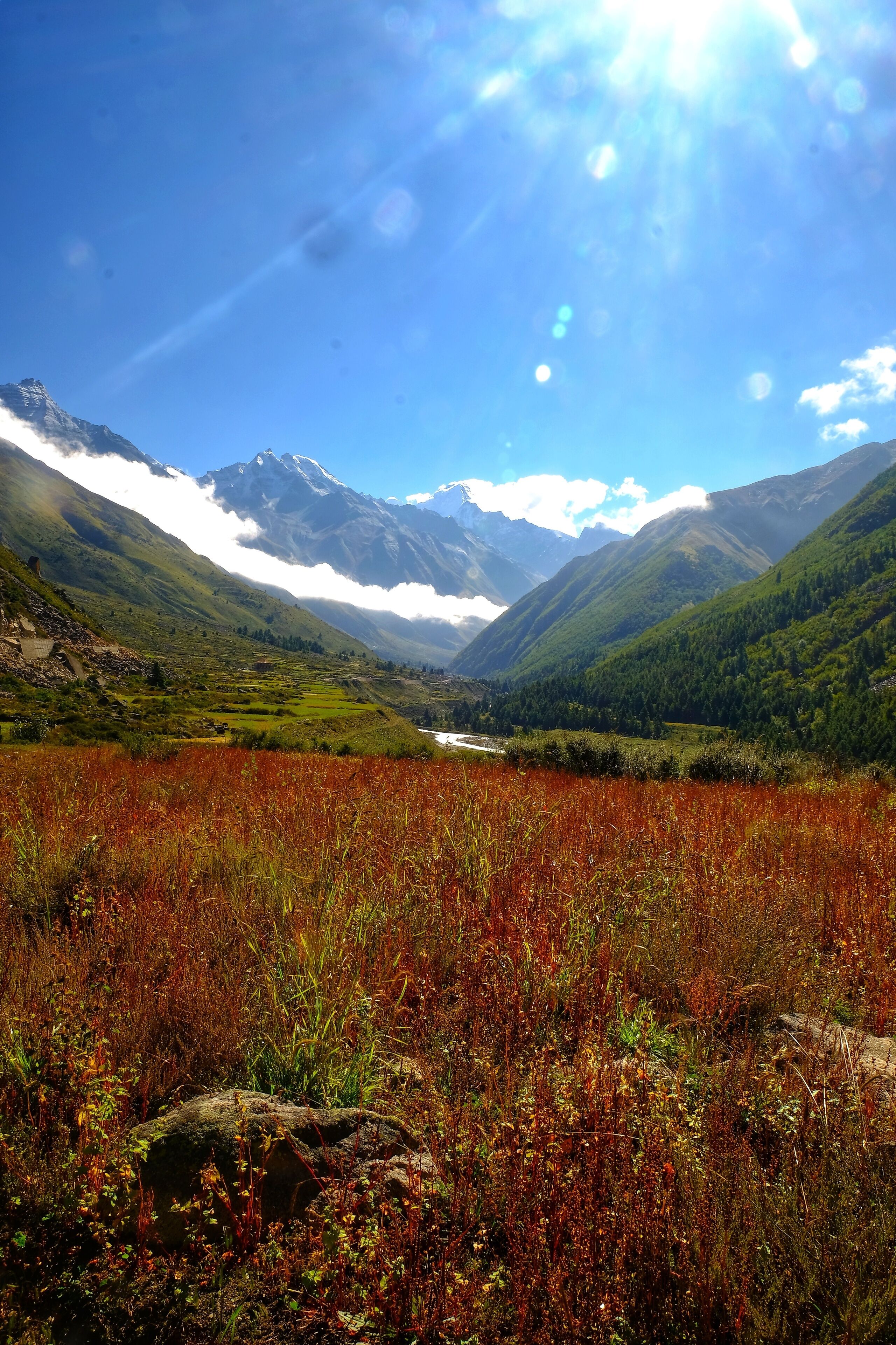 View from Chitkul , Himachal Pradesh