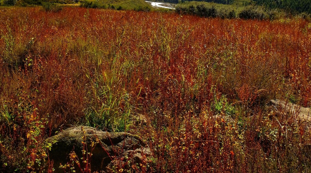 View from Chitkul , Himachal Pradesh