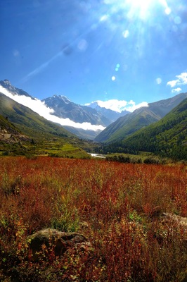 View from Chitkul , Himachal Pradesh