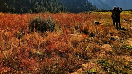 Chitkul , Last indian village