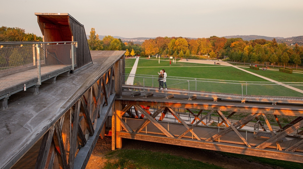 St Maarten and St Martin featuring a park and a sunset