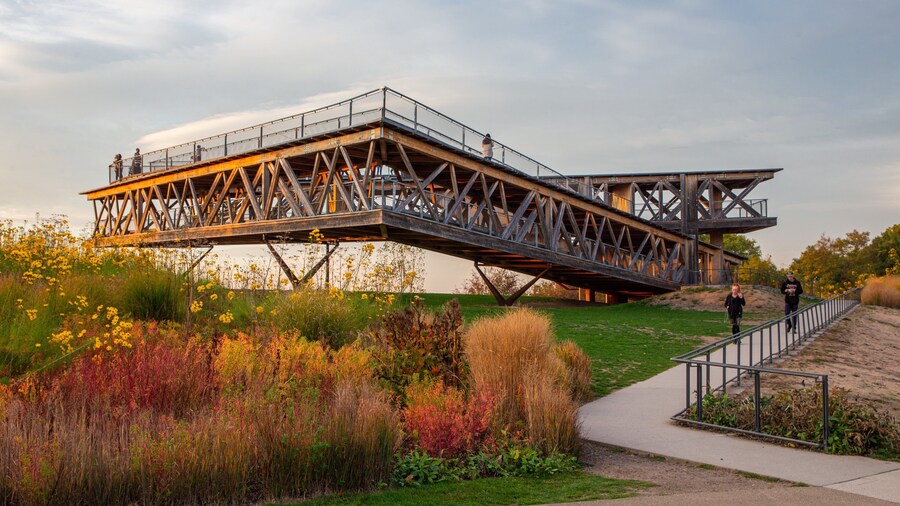 St Maarten and St Martin showing a sunset, a garden and views