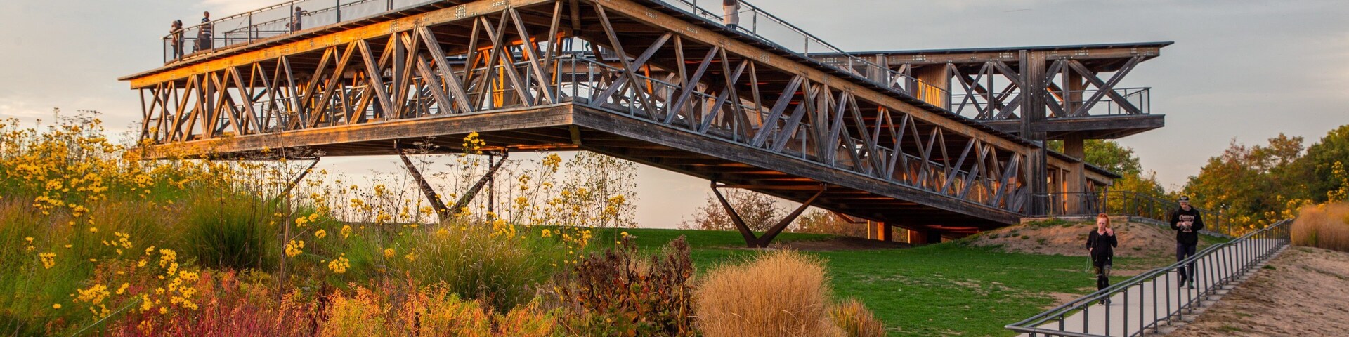 St Maarten and St Martin showing a sunset, a garden and views