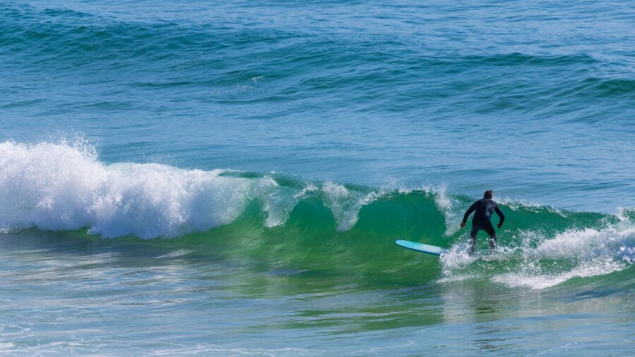 Short Point Recreation Reserve featuring waves, general coastal views and surfing